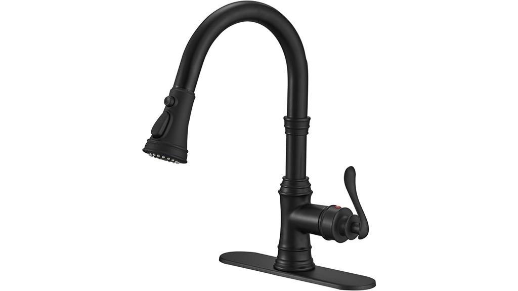 black kitchen faucet sprayer