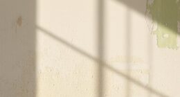 limewash tips for humidity