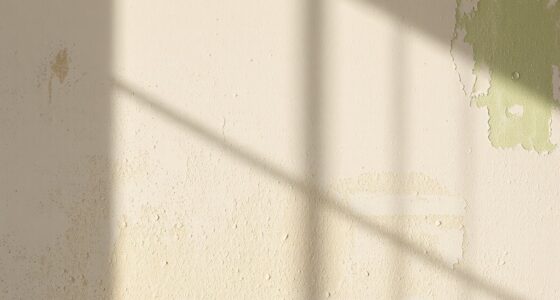 limewash tips for humidity