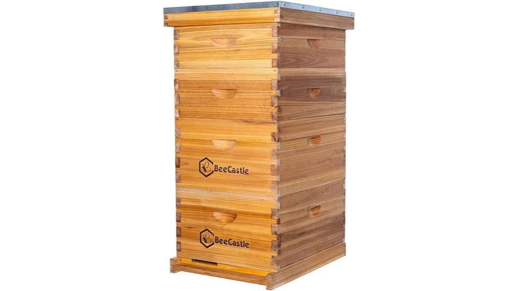 10 frame langstroth bee hive