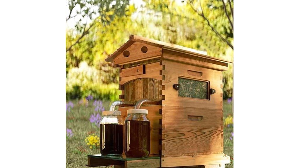 active hive bee hives
