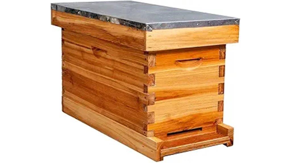 beehive kit with five frames