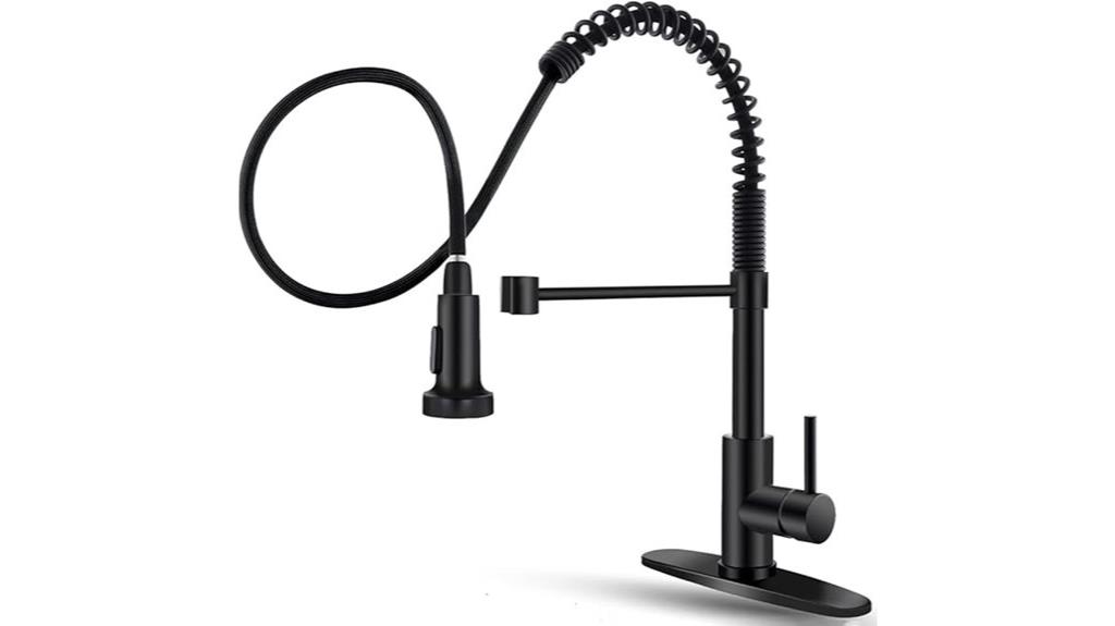 black kitchen faucet with sprayer