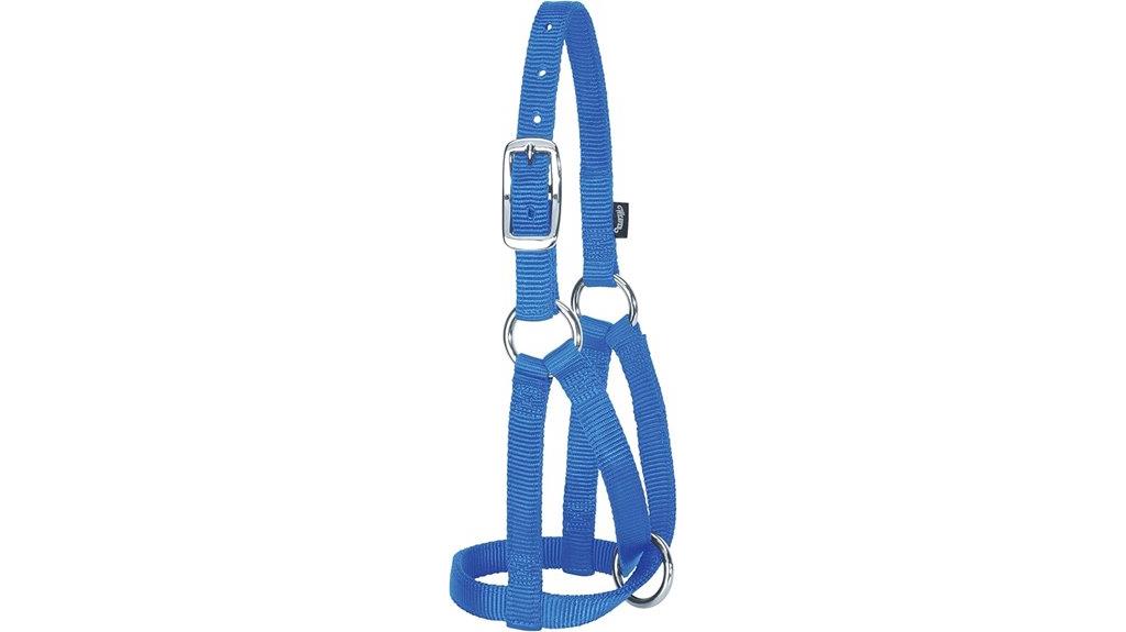 blue medium livestock halter