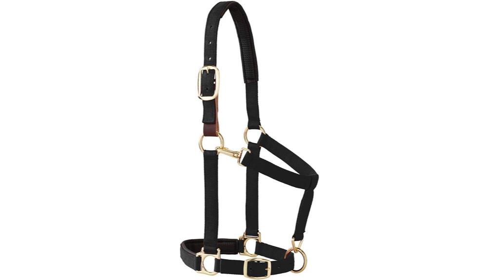horse halter with breakaway feature