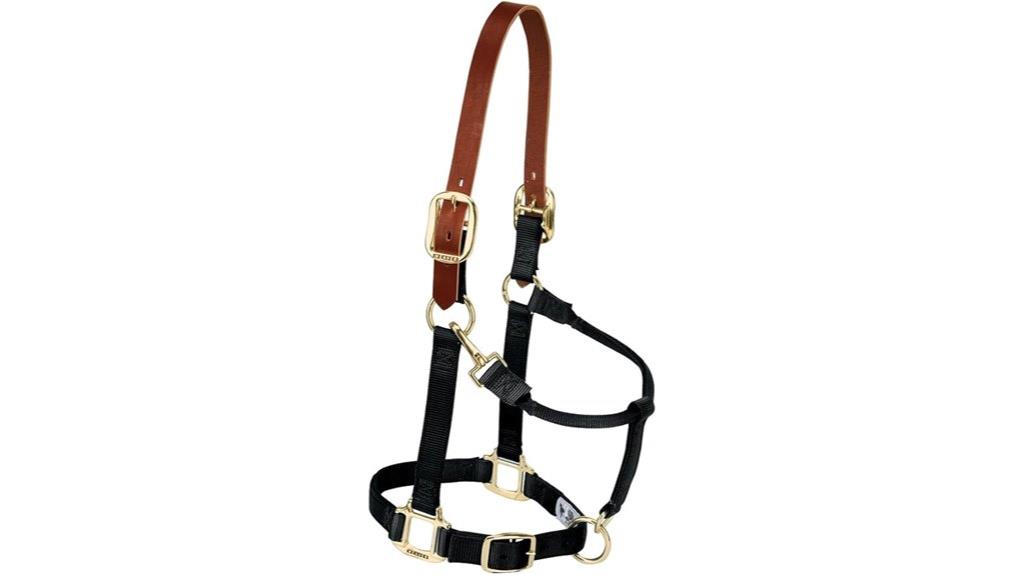 horse halter with breakaway feature