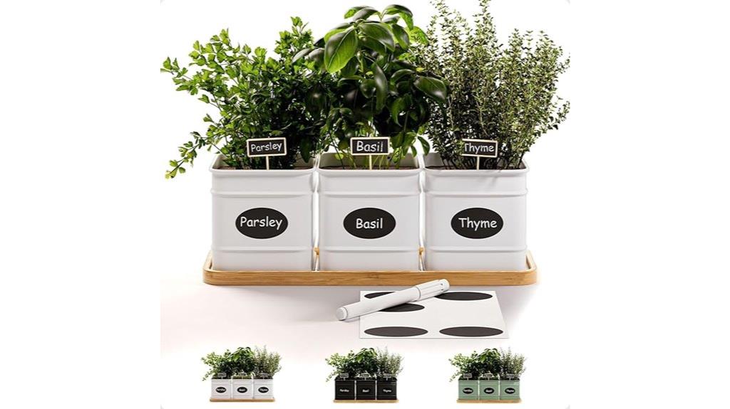 indoor herb planting kit