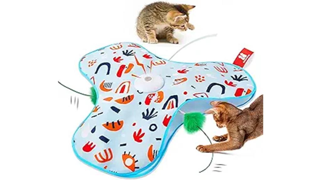 interactive cat toy set