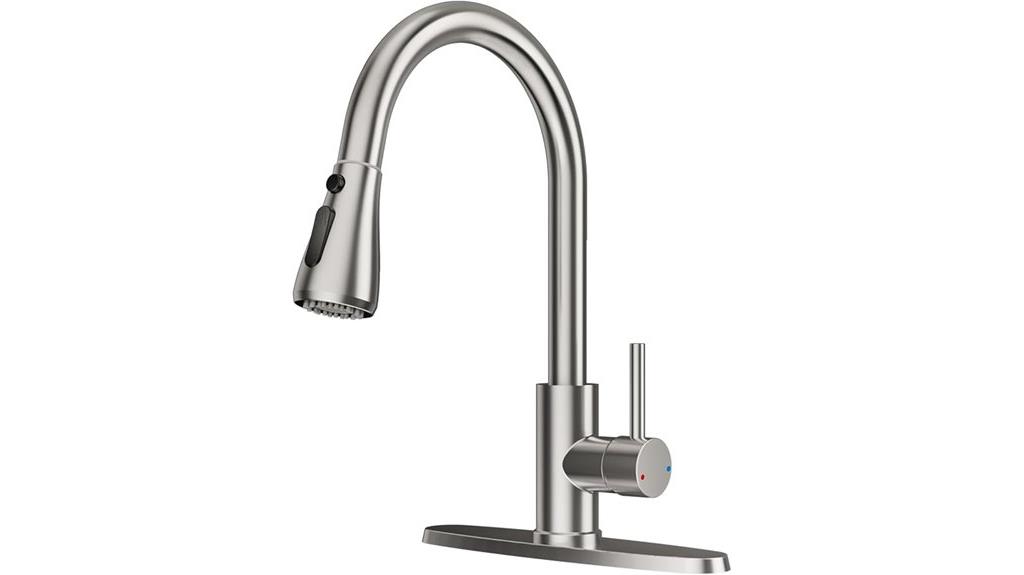 kitchen faucet with sprayer