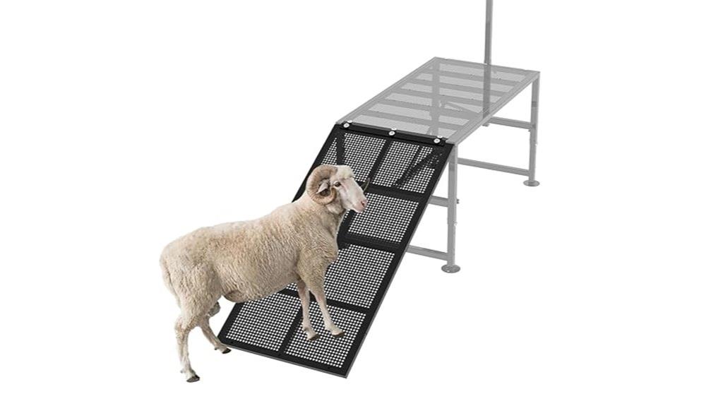 livestock goat milking ramp