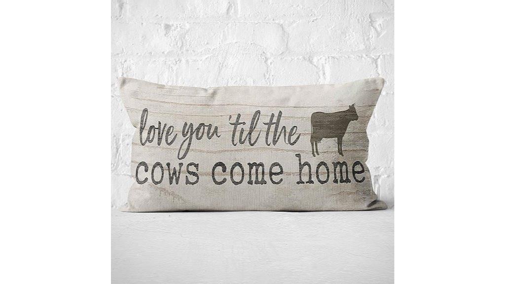 mancheng zi farmhouse pillow