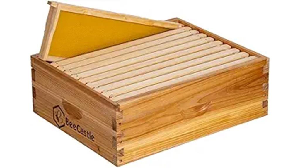 medium 10 frame bee hive