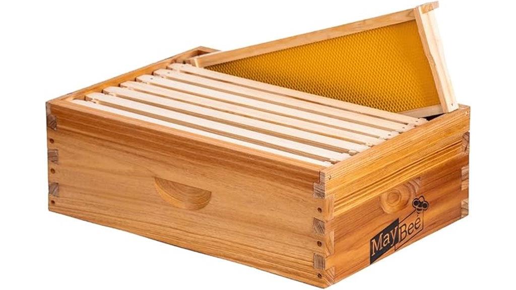 medium langstroth bee box