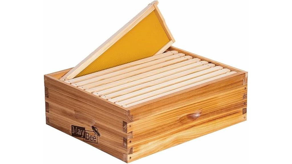 medium langstroth beehive