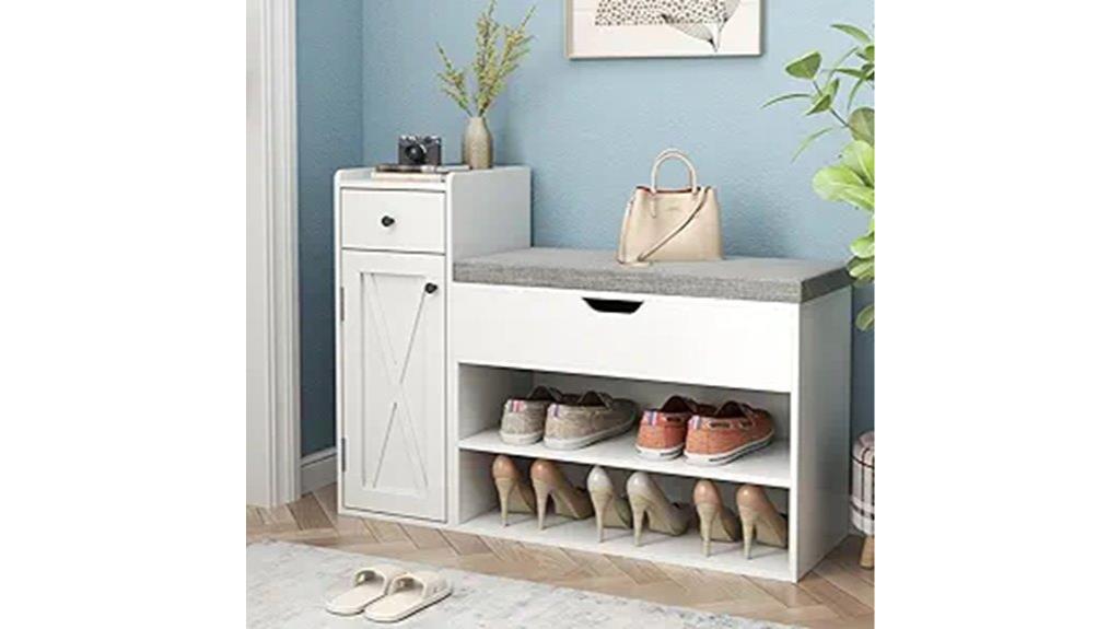 shoe storage with lift