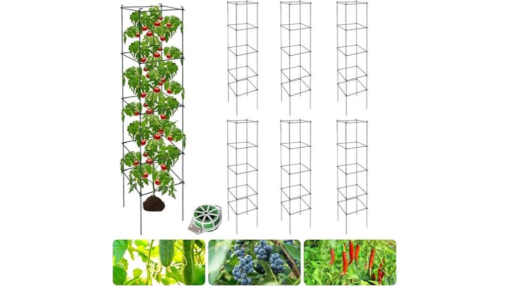 six pack tomato plant supports