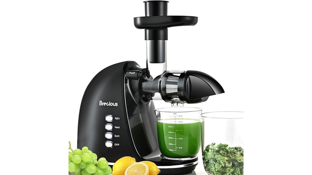 slow juicing dual speeds