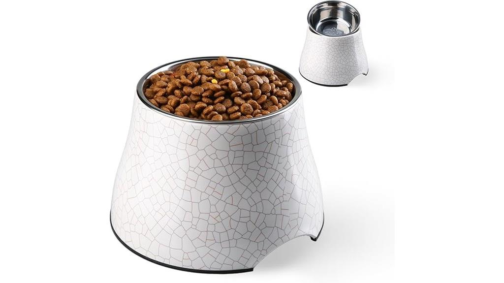 stainless steel elevated bowls