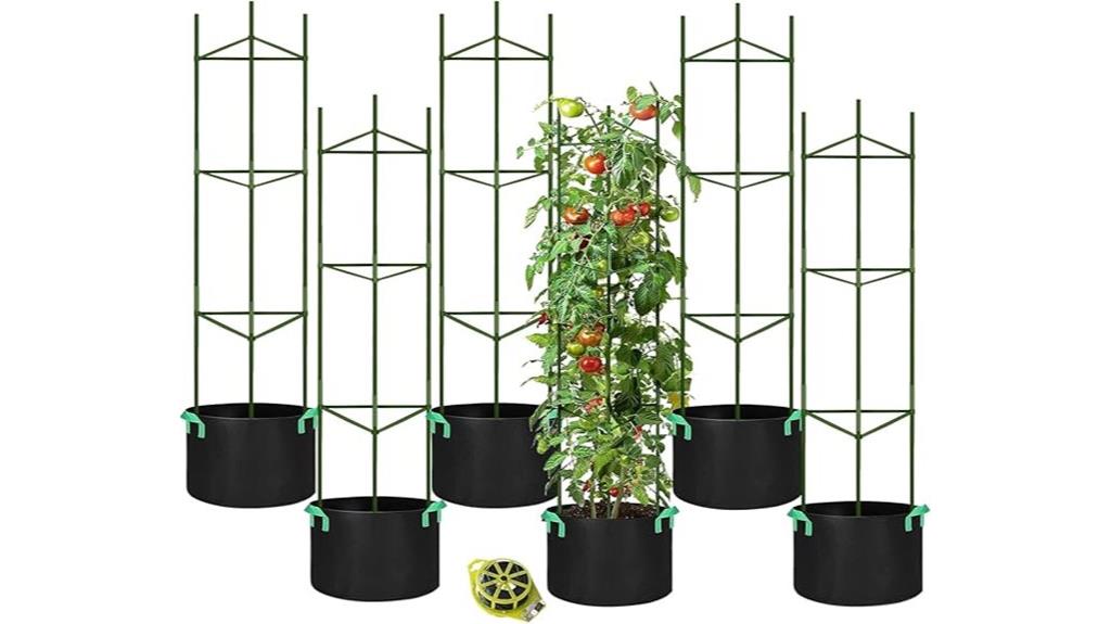 tomato cage grow bags