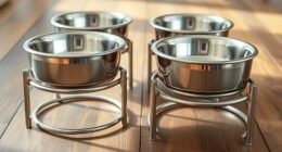 top elevated stainless dog bowls