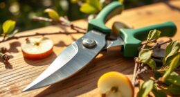 top orchard pruning shears