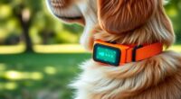 top subscription free gps collars