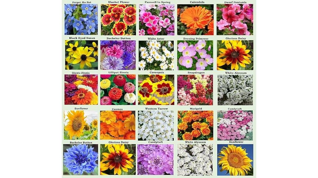 twenty five heirloom flower seeds