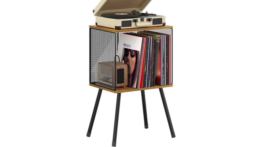 vinyl record storage stand