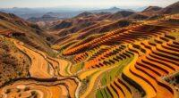 ancient terrace farming sites