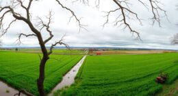 missouri river flooding damage