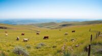 public land grazing agreements