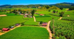 tropical plantation town landscapes