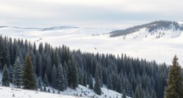 wind protection in wyoming