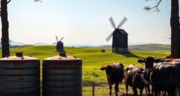 windmill cattle watering tanks