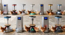 top automatic poultry feeders