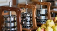top fruit presses for cider
