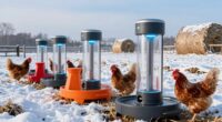 top winter chicken waterers