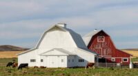 barn colors and history