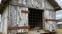 common coop construction errors