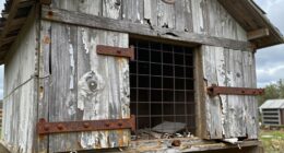 common coop construction errors