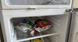 common freezer setup errors