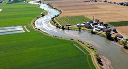 diverse agricultural landscapes formed
