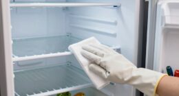 freezer maintenance prolongs lifespan