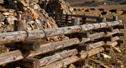 handmade fences regulate livestock