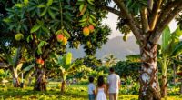 hawaiian family orchard heritage