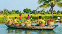 island farm crop migration