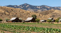 mountain life versus plains