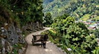 mountain roads improved access