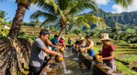 rural hawaiian water customs