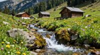 spring water location influence